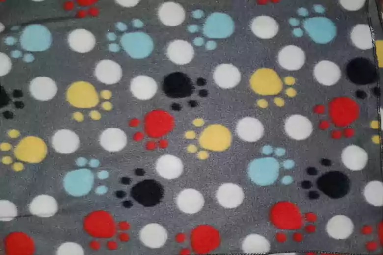 Paw Prints on Gray blanket