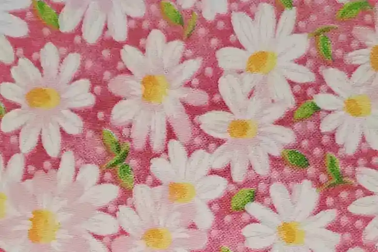 Pink Daisy