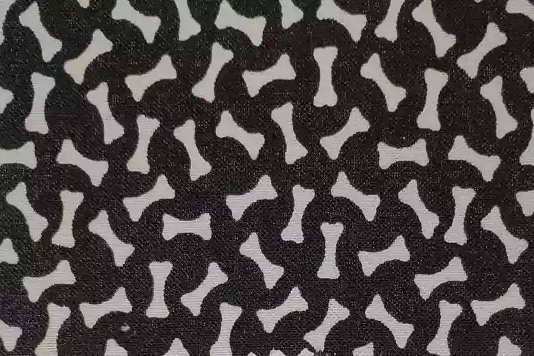 White Bone on Black